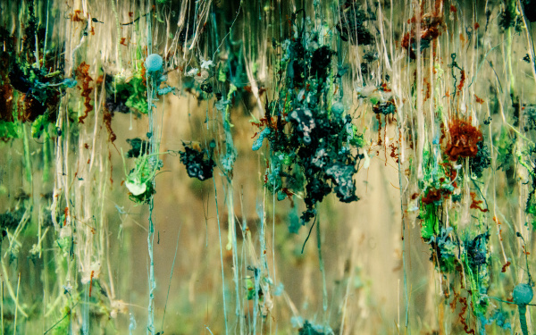 A close-up of the work of Agnieszka Kurant »Chemical Garden«