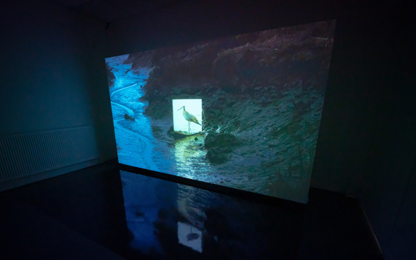 Jake Elwes, »CUSP«, 2019. In a dark room, there is a large screen showing footage of a seascape. In the middle of this footage is a seagull.