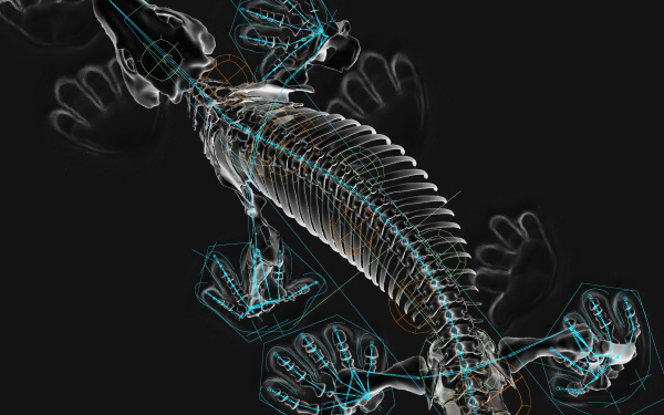 The digitally illustrated skeleton of a reptilian animal can be seen on a black background.
