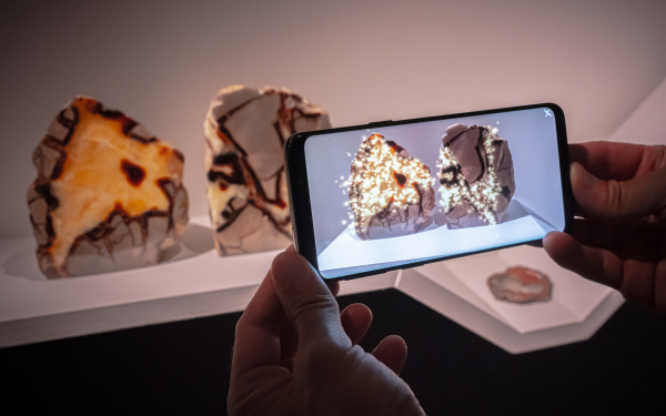 Zu sehen ist die Installation Exovision von Justine Emard, bestehend aus mehreren Fossilien, Steinen und versteinertem Holz über ein Handy mittels Augmented Reality
