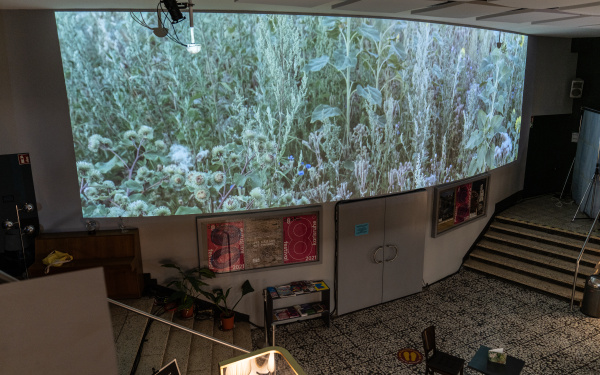 The image shows an elongated screen in an interior space with a green meadow on its surface.