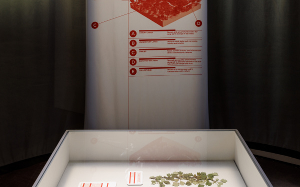You can see the Urban Data Forest project in the exhibition Repairing the Present :RETOOL.