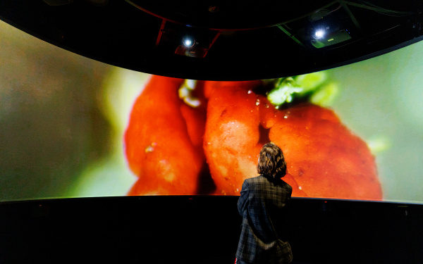 You can see a person in front of a large, curved screen. 