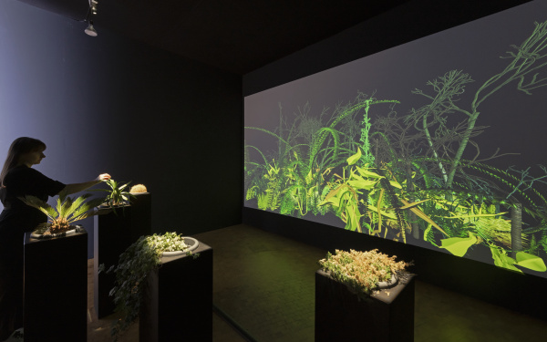 Blick in die Ausstellung auf die Installation »Interactive Plant Growing«