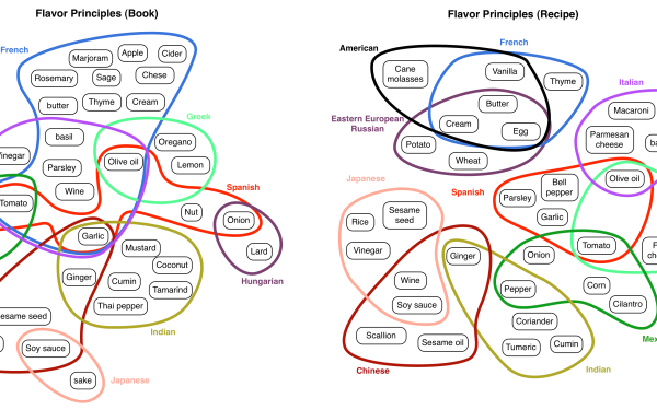 Zwei Grafiken mit dem Titel »Flavor Principles« zeigen mit bunten Kreisen die häufigsten Kombinationen verschiedener Zutaten