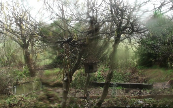 You can see a nature area with several trees. On one of the trees hangs a birdhouse. In places the photo is blurred.
