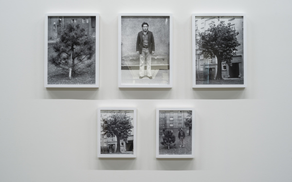 Zu sehen sind fünf schwarz-weiß Fotografien in Bilderrahmen an einer Wand. Drei von ihnen zeigen jeweils einen Baum, eins von ihnen zeigt einen Mann. Das letzte zeigt einen Mann, der neben einem Baum steht. 