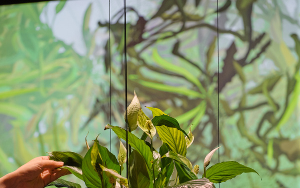 Zu sehen ist das Werk »Eau de Jardin«. Das Bild zeigt eine Nahaufnahme einer der Pflanzen. Zwei Arme sind ebenfalls auf dem Bild zu sehen, die die  Pflanze berühren.