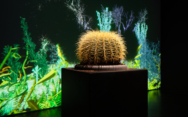 On display is the work "Interactive Plant Growing". A detailed view shows a close-up of one of the plants. This is a cactus.