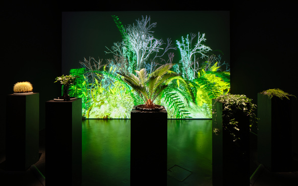 Zu sehen ist das Werk »Interactive Plant Growing«. Eine totale Ansicht zeigt eine Variation aus Pflanzen, die in Töpfen von der decke hängen und in einem Halbkreis vor einer Leinwand angeordnet sind. Die Farben halten sich in unterschiedlichen Grüntönen.