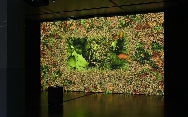 Zu sehen ist die Ausstellungsansicht zu dem Werk »Phototropy«. Eine große Leinwand, auf der in verschiedenen Grüntönen Pflanzen gezeigt werden.