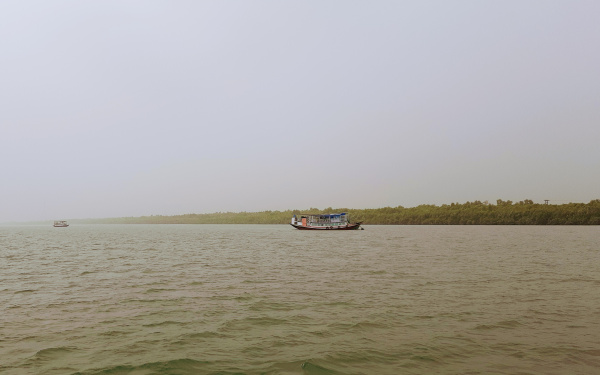 Zu sehen sind vier Boote auf dem Wasser. Im Hintergrund befindet sich ein grüner Landstrich.