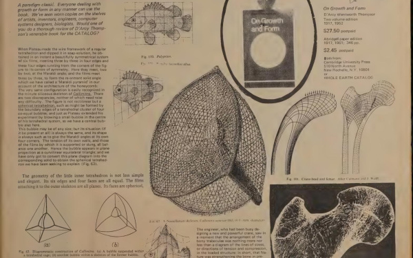 wholeearthcatalog-11