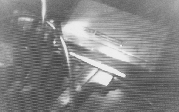 Douglas Davis, Burying Camera