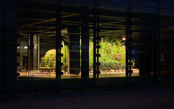 Illuminated plants can be seen through the window panes of the cube.