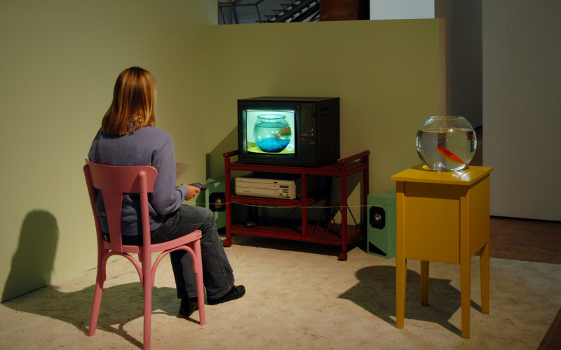 A woman sitting in front of a small TV, next to her a round fishbowl