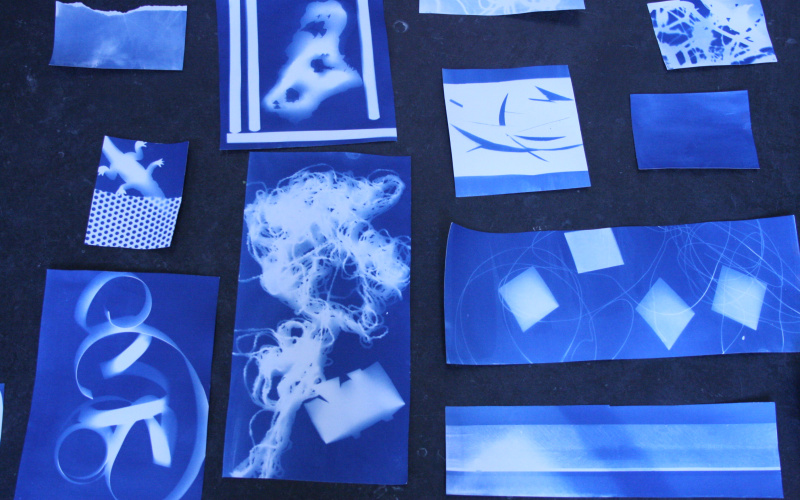 In this picture are photograms with abstract forms that are put down on the ground.