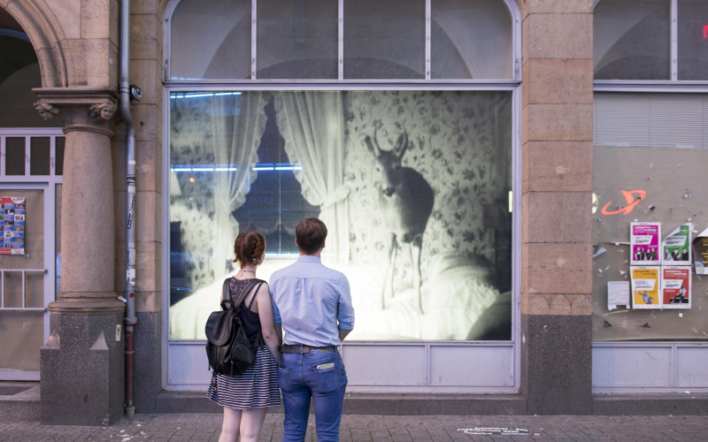 A couple stands in front of a shop window in which a black and white photo of a deer standing on a bed can be seen. 