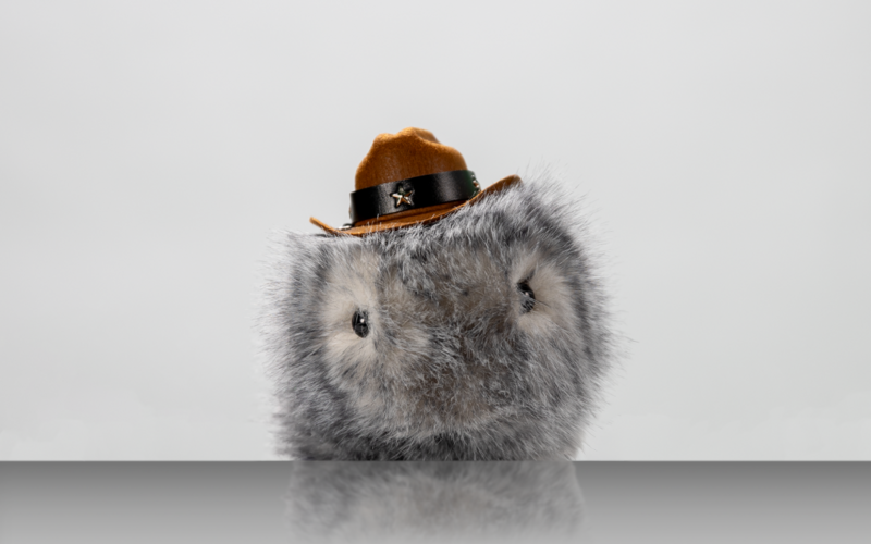 Ein elektronisches Meerschweinchen mit einem Cowboy-Hut.
