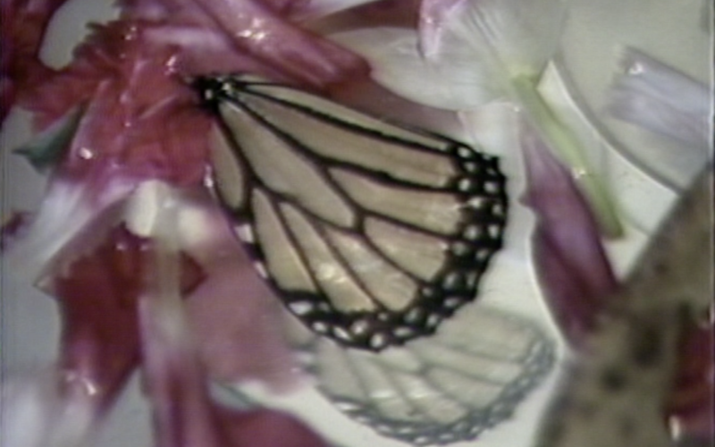 Frank Gillette, »Symptomatic Syntax #5«, 1980