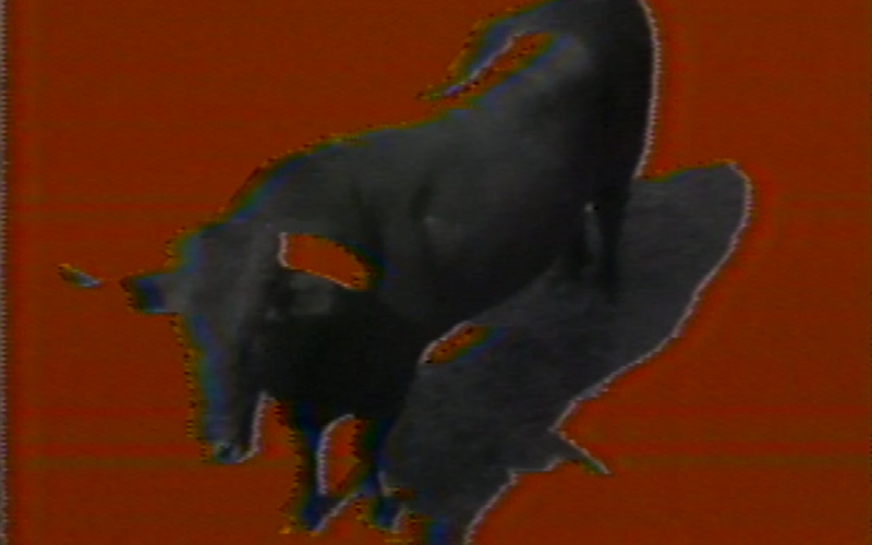 Antoni Muntadas, Archiv, Videostill