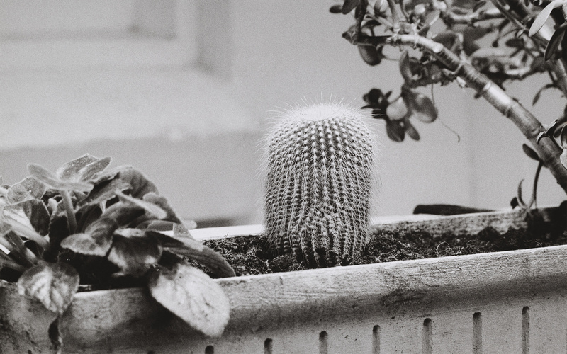 Während der Dreharbeiten zu Ger van Elks Beitrag für ›IDENTIFICATIONS‹ (II. Fernsehausstellung der Fernsehgalerie Gerry Schum), 1970
