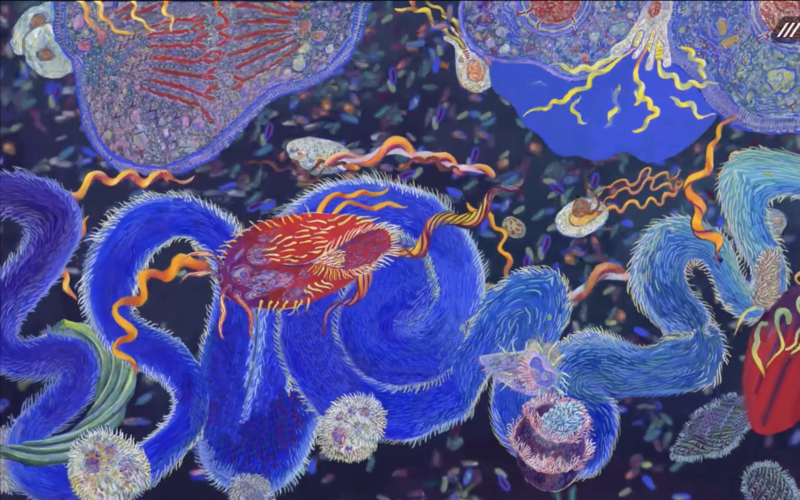 "Endosymbiosis: Homage to Lynn Margulis" animiert von David Domingo